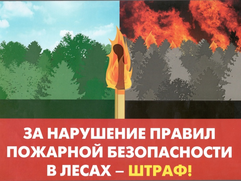 Ответственность за нарушение правил пожарной безопаности в лесах.